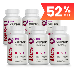 CellPower 6-Pack