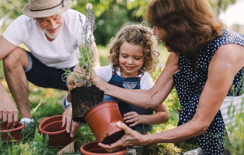Build Toward a Pain-Free Spring