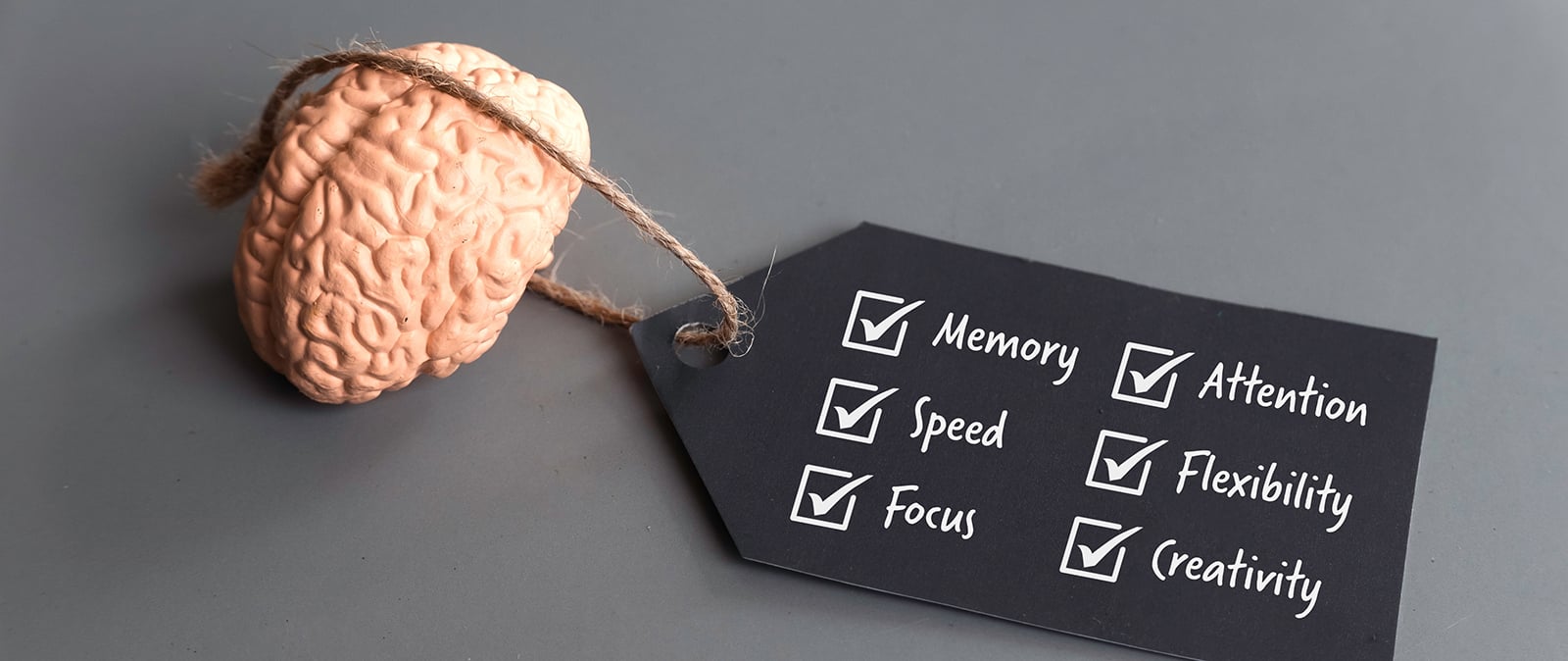 Toy brain attached to tag reading memory, attention, focus