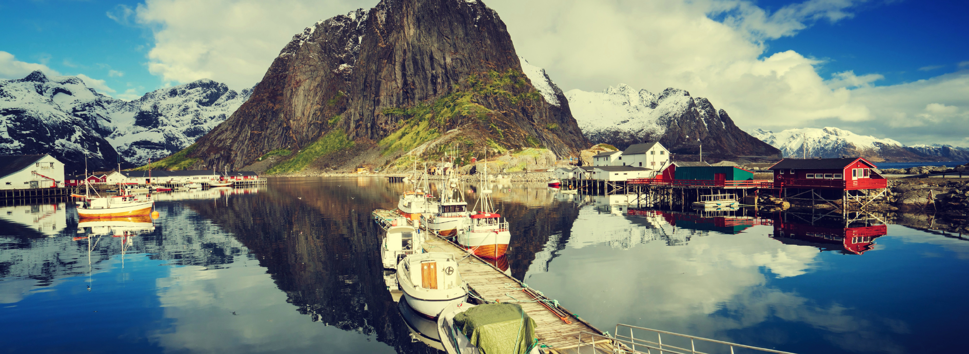 From the Ocean to You: Not All Omega-3s Are Created Equal
