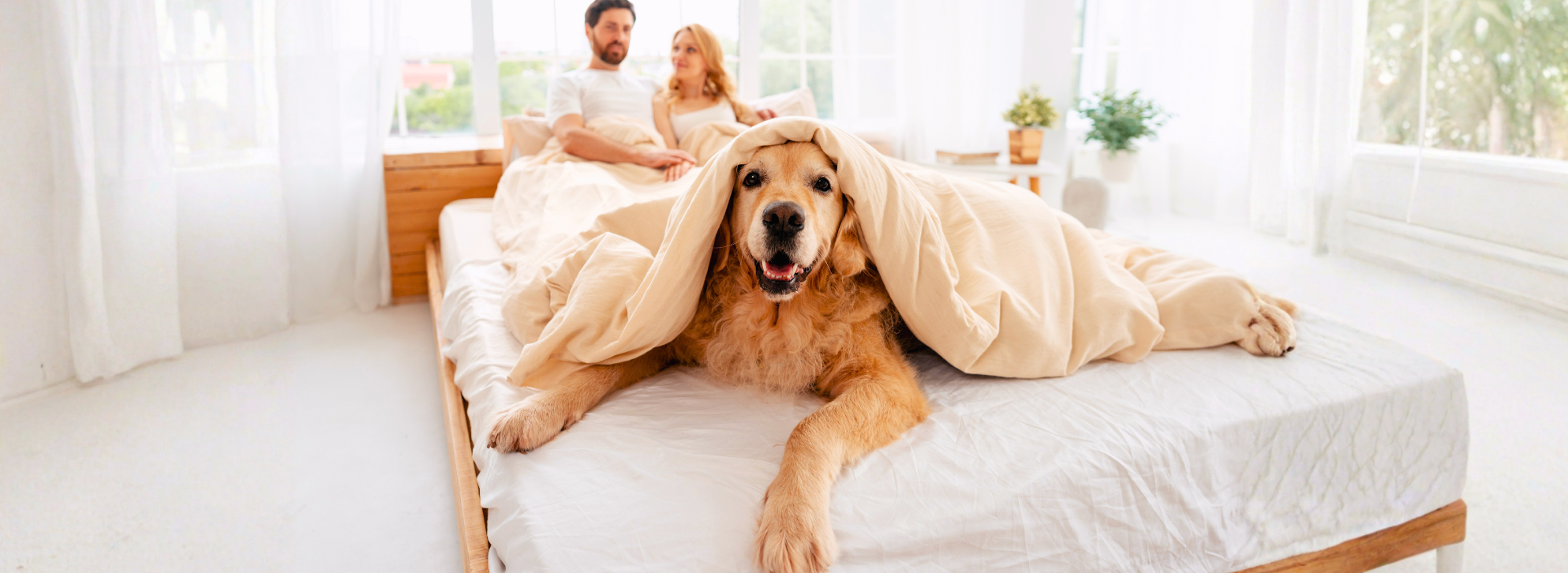 Fall Back, Sleep In? The Pros & Cons of Gaining an Extra Hour of Sleep
