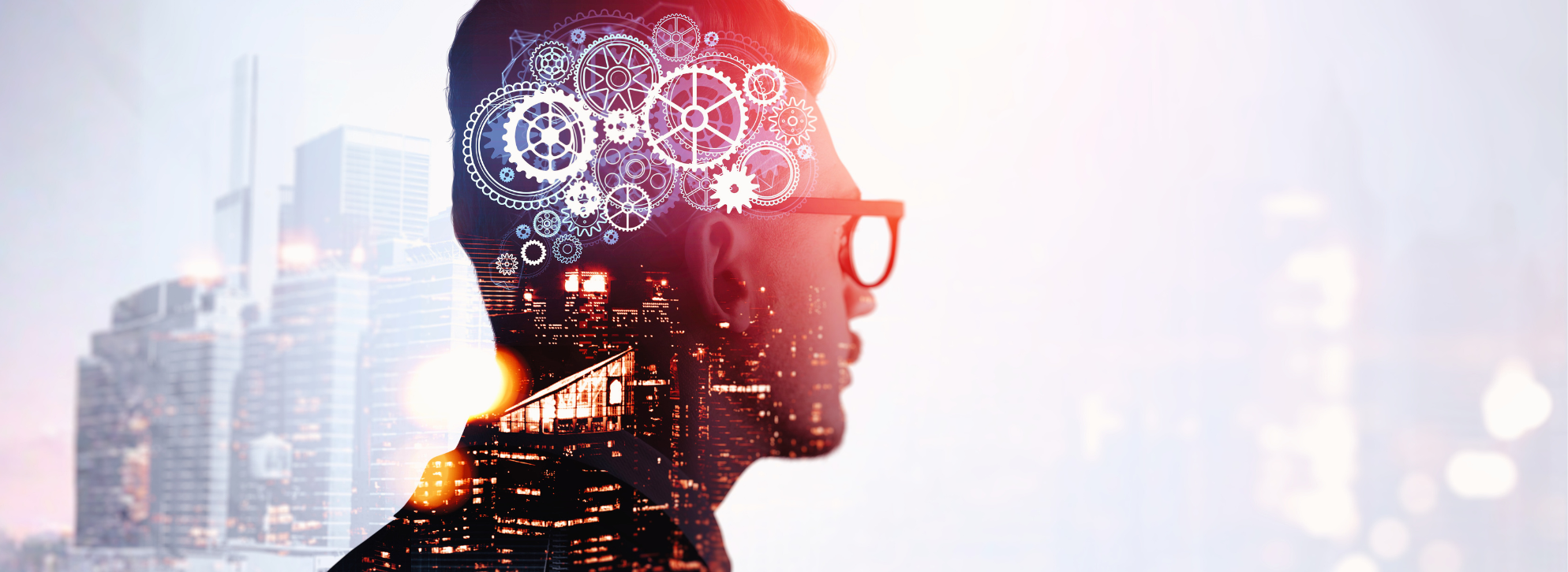 Focus, Memory, and Mental Clarity: Your Guide to a Healthier Brain