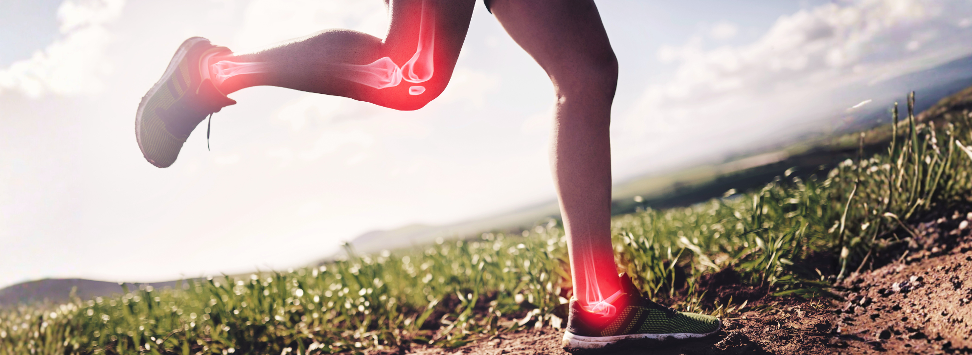 Move Better, Live Freer: The Most Effective Supplements for Joint Health