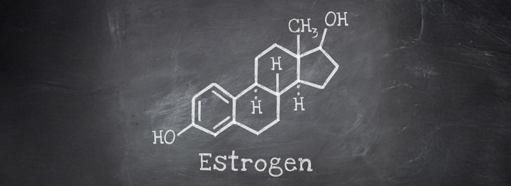 Estrogen diagram