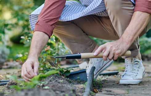 Q&A Saturday – How Gardening Can Improve Your Health