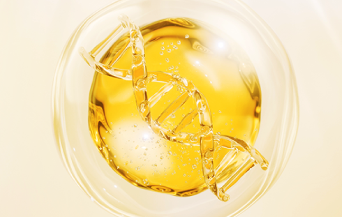 Fish Oil & Your Genes: Supporting Healthy Cholesterol at the Molecular Level